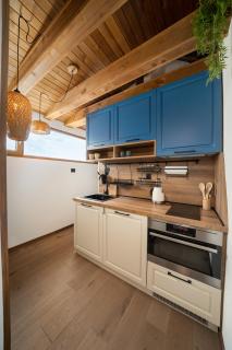 Gurgulyat view - 1 Bedroom Loft - Sofia - 9