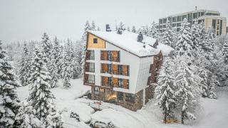 Forest Villa - 0