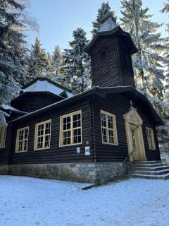 Forest Apartment/ Villa Park - 1