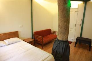 SpiceBuds TreeHouse - Idukki - Ramakkalmedu - 5