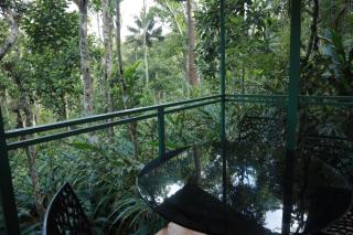 SpiceBuds TreeHouse - Idukki - Ramakkalmedu - 1