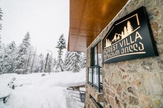 Forest Villa - Goderdzi - 1