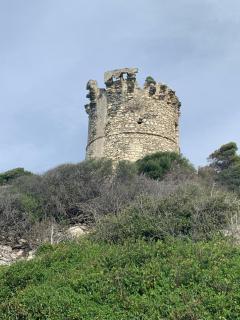 Domaine Amortella Saint-Florent - Saint-Florent - 9