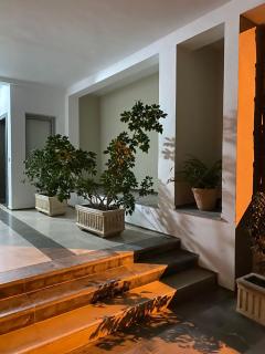 Palmeraies - La Marsa - 4