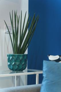 Apartament Niebieski c4 - 4