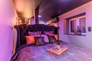 Love Room and Luxe sous les colombages d'Alsace - Drusenheim - 8