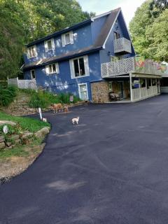 Lil Black Bear Inn - Nashville - 6
