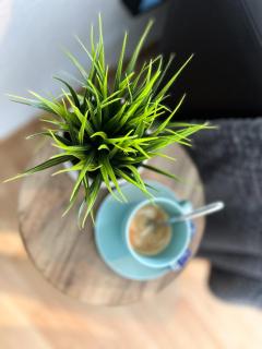 Sweet Dream in The City - 1