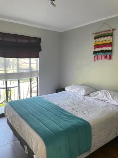 Apartamentos-Magnolia - Pucón - 2