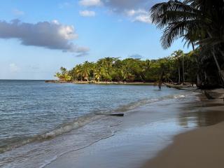 ENSUEÑOS NATURAL RESERVE Little Corn Island Nicaragua - Little Corn Island - 5
