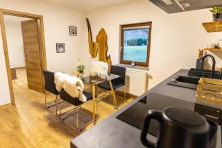 Apartmaji pri Dravi - Podvelka - 8