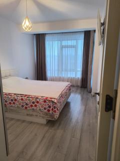 A&A Apartment - Iaşi - 8