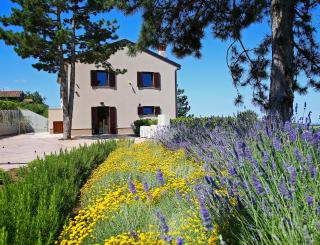 Luxury Villa Gradin - 3