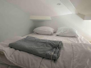 Trocadero, Tour Eiffel, Duplex 120 m2 - París - 3