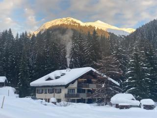Ferienwohnung Haus Ginseng - Davos - 9