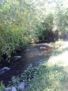 Cabañas del Arroyo - 7