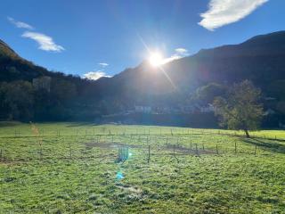 Au bord du gave - Laruns - 0