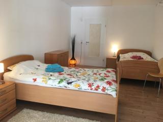 Große Ferienwohnung zwischen Kassel und Göttingen auf dem Land - Witzenhausen - 1
