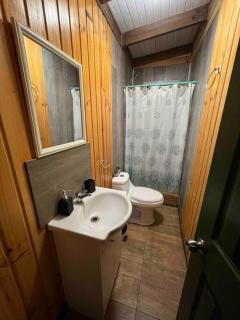 Espectacular Tiny House,terraza,Aire acondicionado - Puerto Octay - 3
