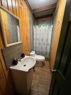 Espectacular Tiny House,terraza,Aire acondicionado - Puerto Octay - 2