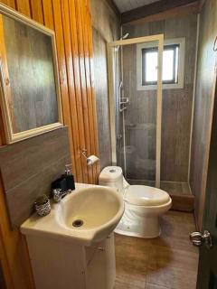 Espectacular Tiny House,terraza,Aire acondicionado - Puerto Octay - 5