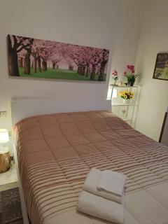 VALTELLINA SONDRIO HOLIDAYS - Sondrio - 0