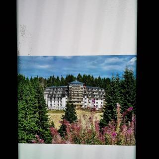 Studio Leone Sunčana Planina - Kopaonik - 8