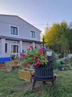 Wine House - Capannori - 9