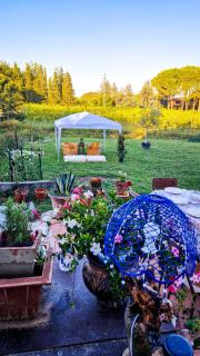 Wine House - Capannori - 8