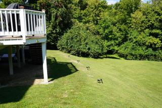 Walkout Basement Near Creation Museum - Hebron - 1