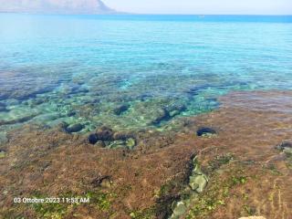 Il Cortile Isola Casa Vacanze - Isola delle Femmine - 8