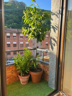 Mountain View Apartment - Mieres - 7