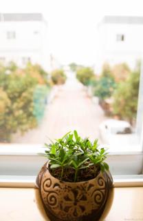 Books & Woods Bed and Breakfast - 1