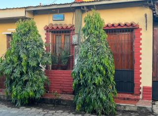 Apartamento Los Monges - León - 8