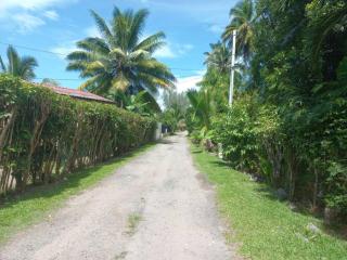 Iolana's Beach house - Beautiful Home - Punaauia - 6