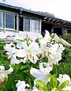 Homey Inn Enya - Yufu - 3