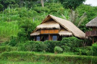 Rinjani Mountain Garden - 7