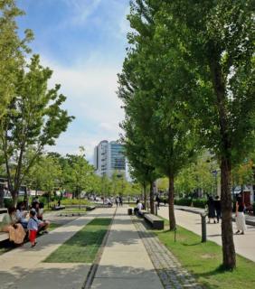 Brown Suites Hotel Sinchon Central - Seul - 3