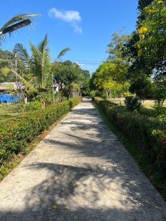 Dusit Long Beach - Koh Lanta - 3