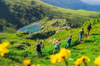 Alpenpark Turrach by ALPS RESORTS - 8