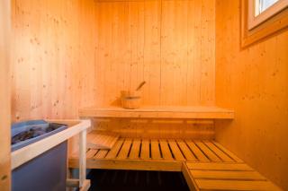 Alpenpark Turrach by ALPS RESORTS - 7