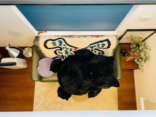 Tanuki House No. 2 ! Shinjuku!Nearest Station 1 min, Over 100㎡ - Tokyo - 9