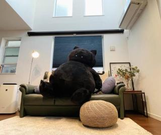 Tanuki Shinjuku 2 - 3