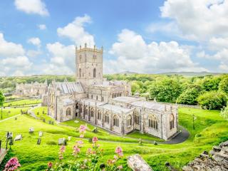 2 Bed in St Davids 92137 - St. Davids - 5