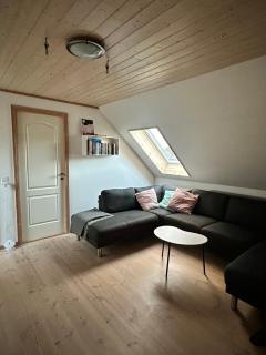 Big-family house in Hoyvik Torshavn - 3