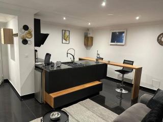Super Appartement T2 Luxe - - 3