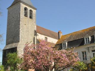 Le Prieuré Saint Agnan - Cosne-Cours-sur-Loire - 8