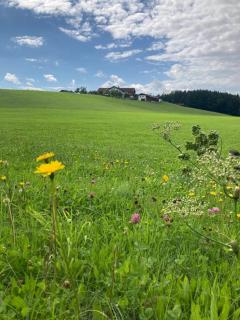 Plattenberger Hof - Waging am See - 3