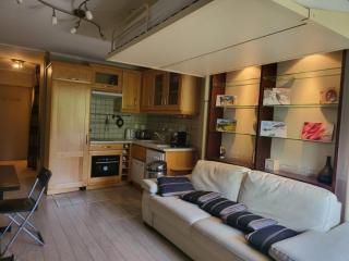 STUDIO PIED DE PISTE PELVOUX 1 - Vars - 3