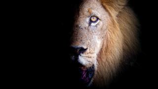 Working with Wildlife Conservation Safari on Khamab Kalahari Reserve - Kirstonia - 3